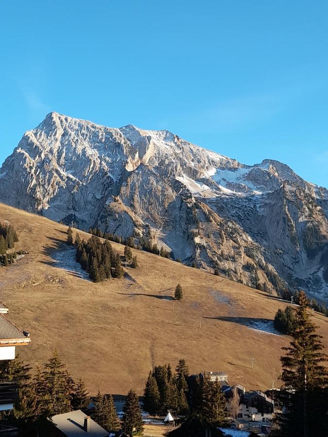 Au Coeur Des Aravis Apartment